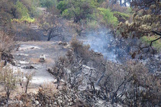 Un Descuido Pudo Iniciar El Incendio De La Palma