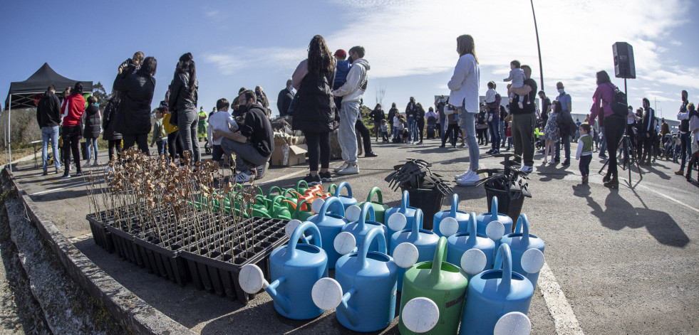 Empieza la recuperación ambiental en Varilongo