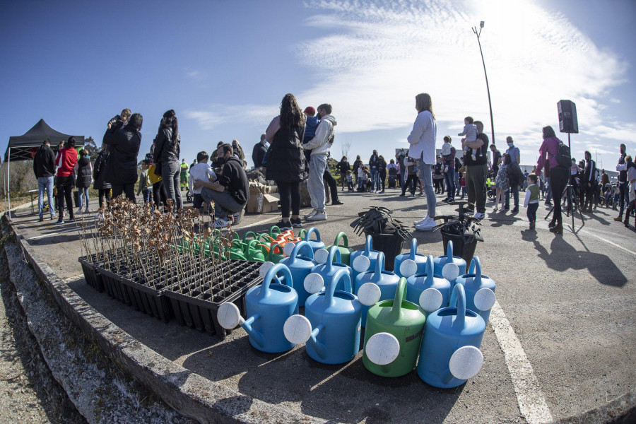 Empieza la recuperación ambiental en Varilongo