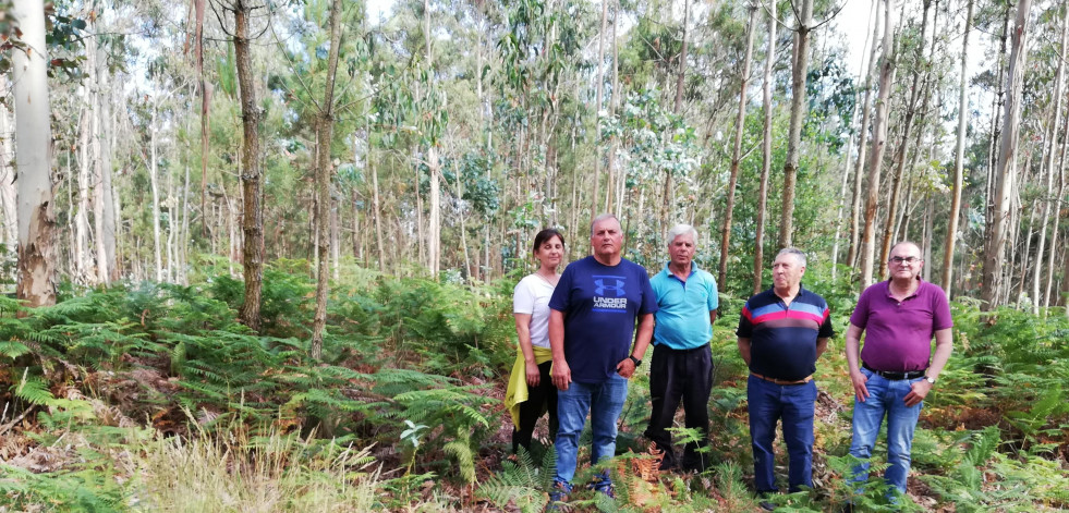 Piden incluir en el Parque do Megalitismo las mámoas de Brantuas