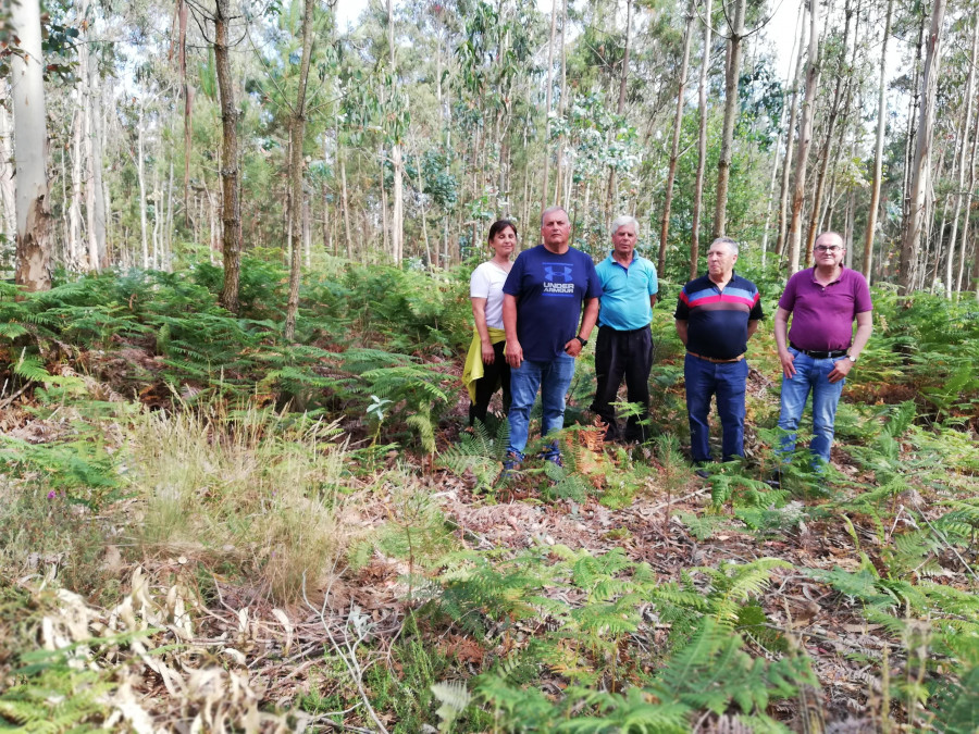 Piden incluir en el Parque do Megalitismo las mámoas de Brantuas