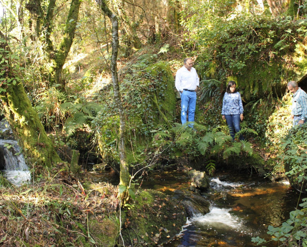 Limpeza río Bradoso laracha