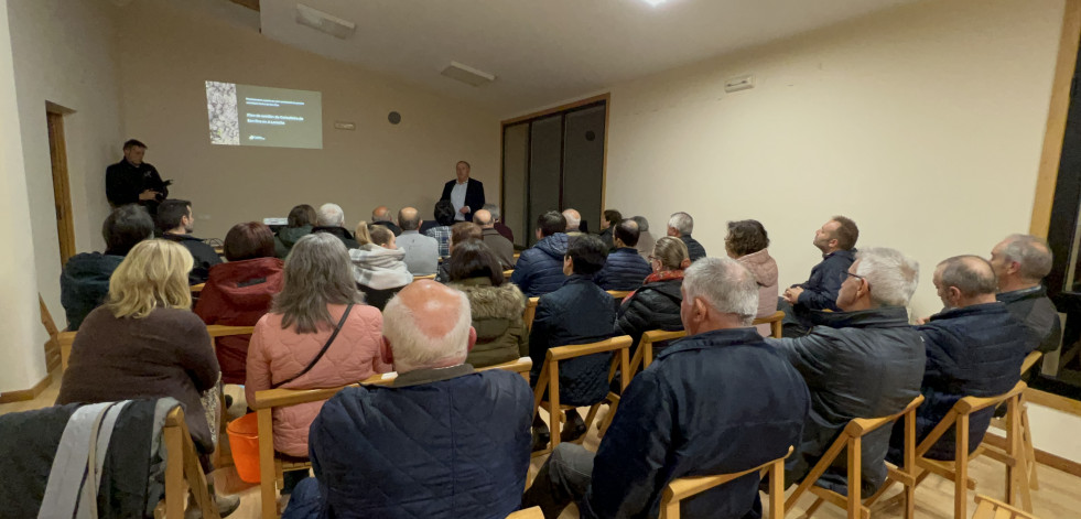 A Laracha pondrá en valor la carballeira de San Fins para convertirla en un referente medioambiental