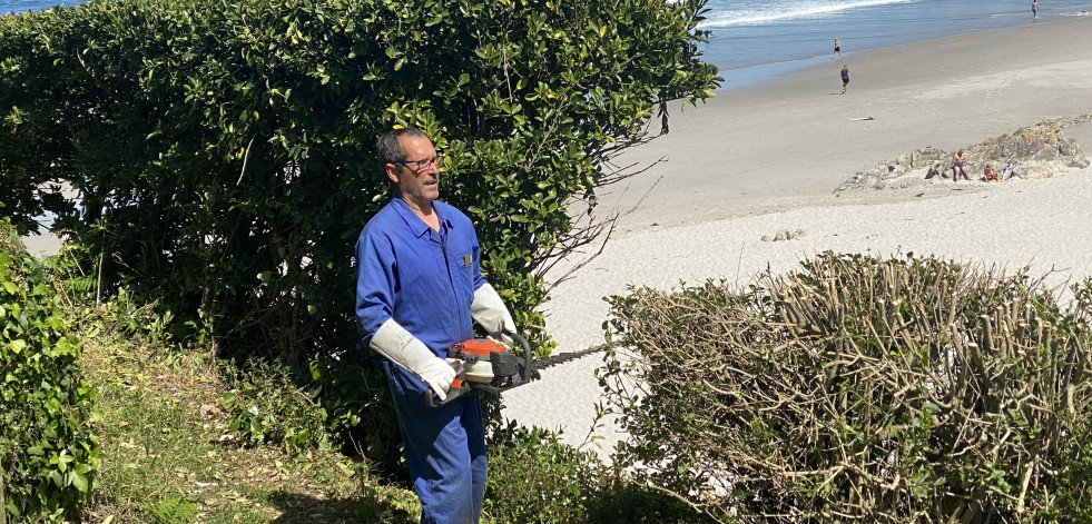 En marcha la limpieza de la vegetación en la playa de Caión