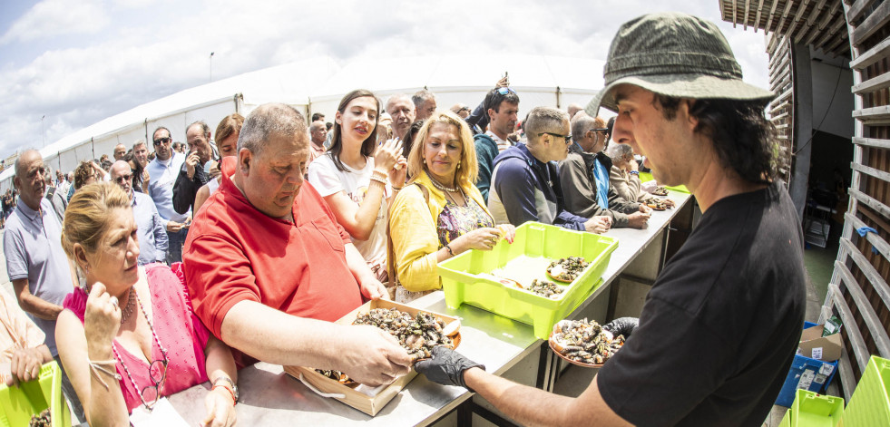 La Festa do Percebe de Corme, en imágenes