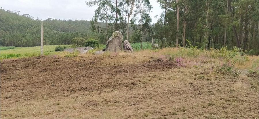 Vimianzo inicia de nuevo los trabajos de limpieza y adecuación de la ruta de los dólmenes