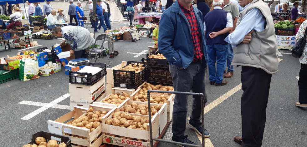 Los productos de nuevas cosechas destacan en la feria de Paiosaco