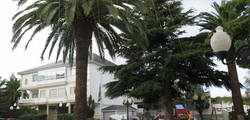 La Praza do Concello larachés perderá dos de sus palmeras afectadas por el picudo rojo