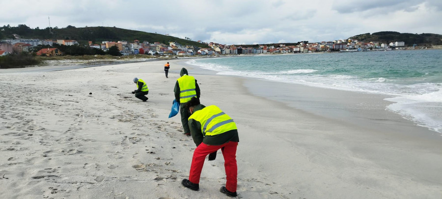 Cuatro entidades ecologistas limpiarán el litoral carballés el fin de semana