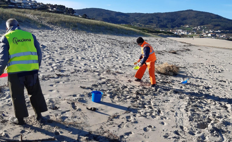 Los voluntarios tomarán las playas el fin de semana