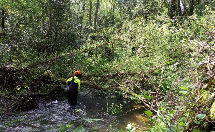 Augas de Galicia realiza labores de limpieza en el río Grande a su paso por Carballo y Coristanco