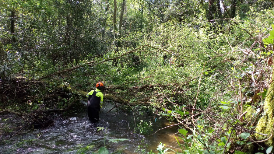 Augas de Galicia realiza labores de limpieza en el río Grande a su paso por Carballo y Coristanco