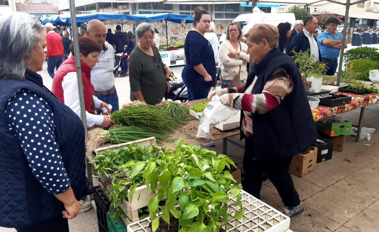 Los productos de las huertas locales, entre los más cotizados de la feria de Carballo