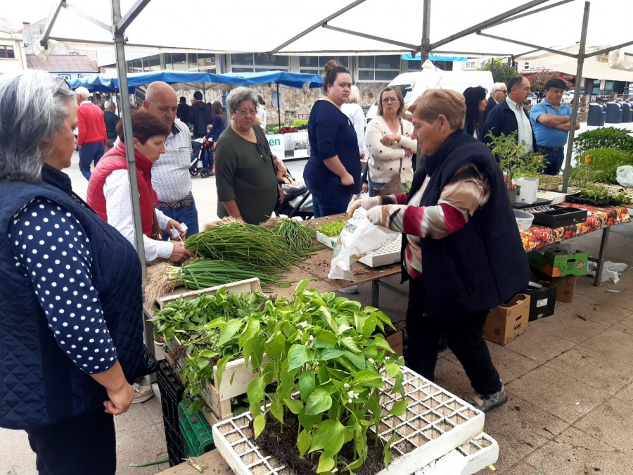 Los productos de las huertas locales, entre los más cotizados de la feria de Carballo