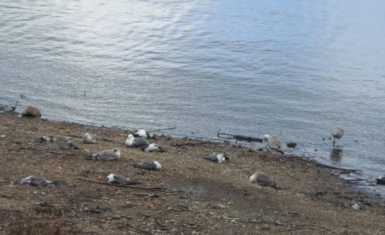 Rescatan el cadáver de un pescador en un río de Ordes