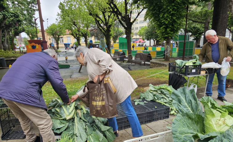 La huerta, protagonista en la feria de Carballo