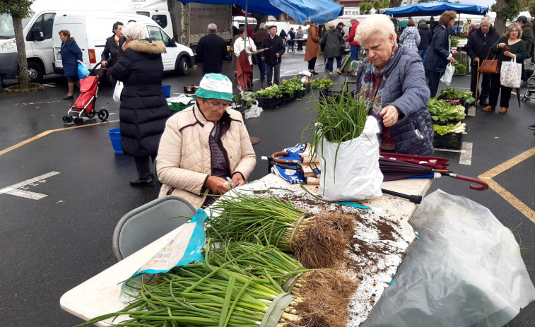 La patata nueva del litoral y del interior toma el relevo en las ferias de la comarca