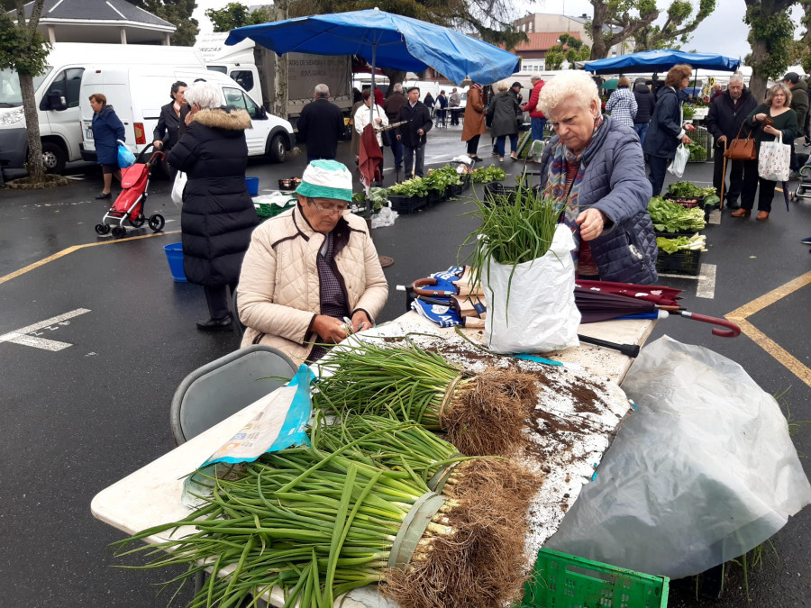 La patata nueva del litoral y del interior toma el relevo en las ferias de la comarca