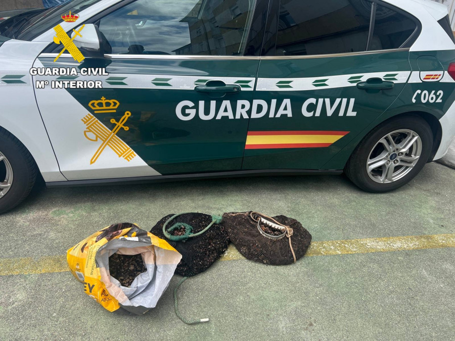 Investigan a tres vecinos de Muxía y Cee a los que pillaron con 20 kilos de percebe furtivo en Laxe