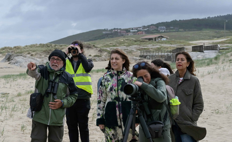 Medio Ambiente realiza trabajos de conservación en Baldaio para proteger la píllara das dunas