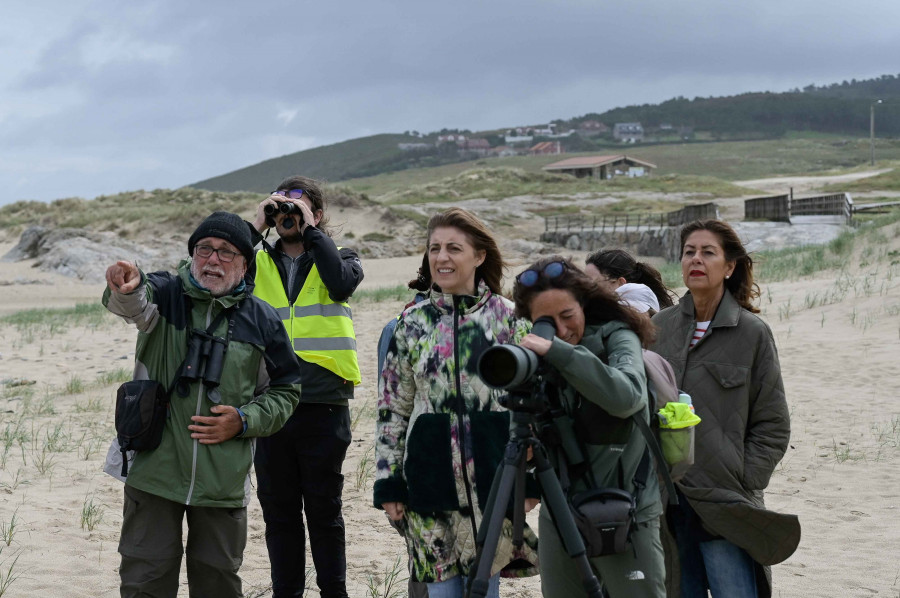 Medio Ambiente realiza trabajos de conservación en Baldaio para proteger la píllara das dunas