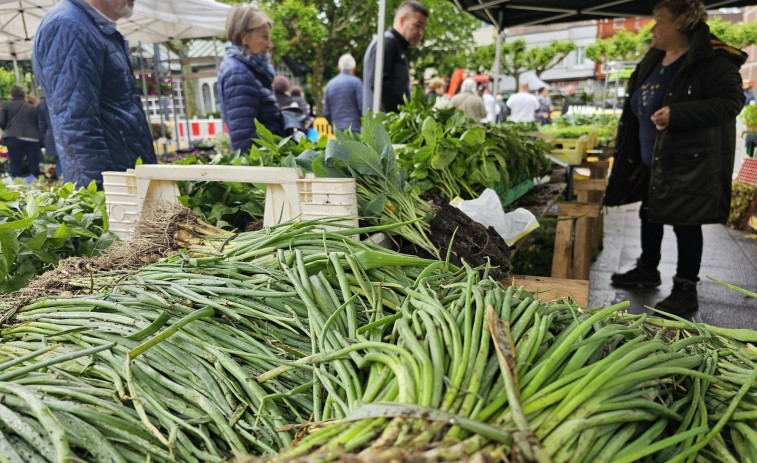 Los productos de huerta, muy demandados en Carballo