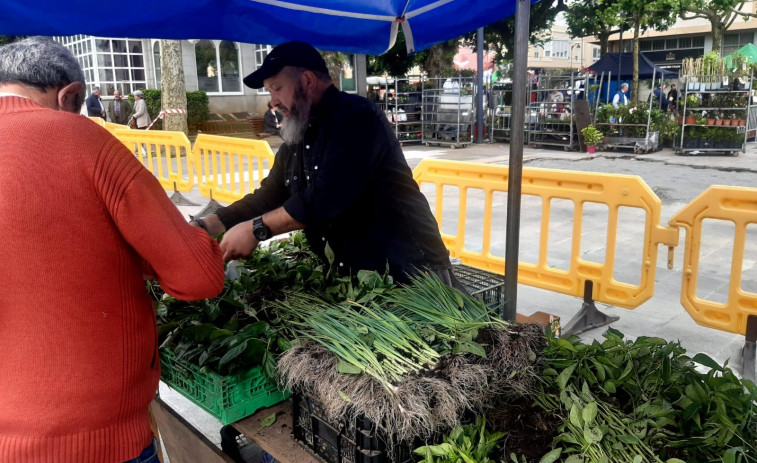 Las patatas nuevas de las huertas de la comarca concentran la atención en la  feria carballesa