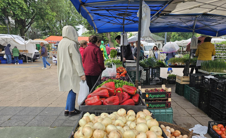 Concurrida feria en Carballo