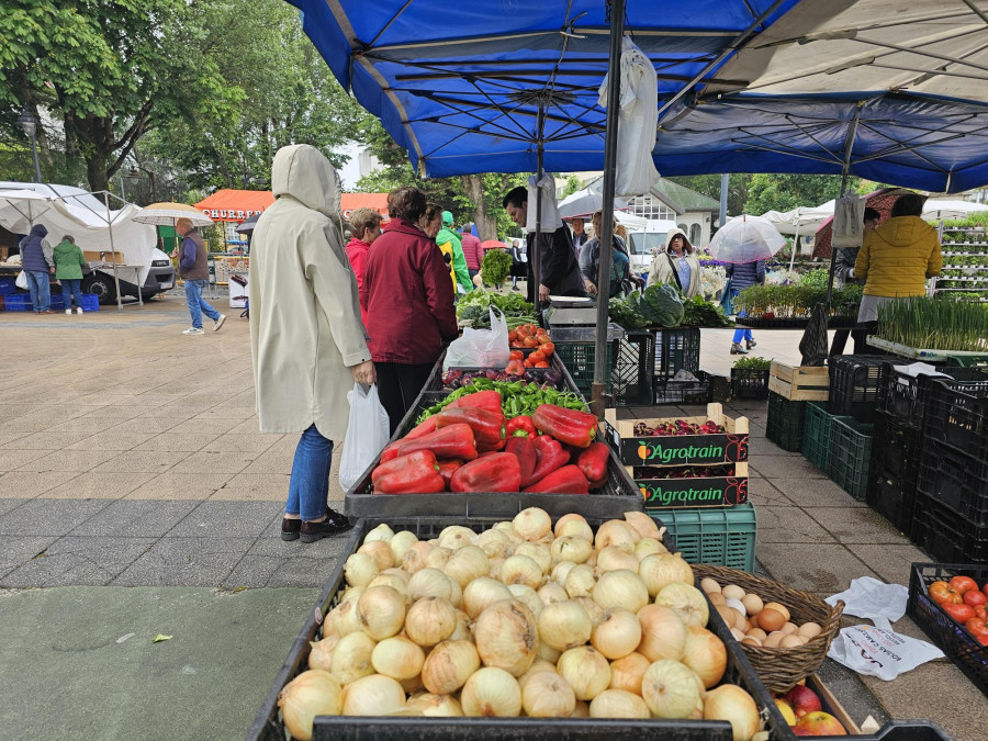 Concurrida feria en Carballo