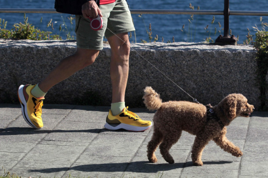 El tiempo en Galicia: sigue el sol y la subida de temperaturas