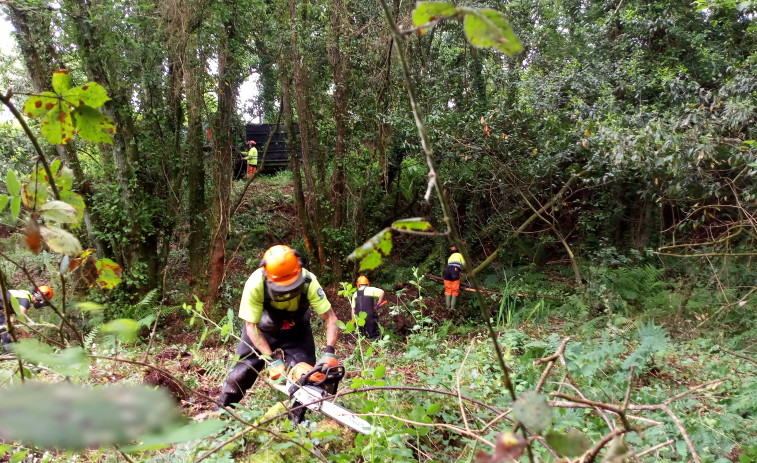 La Xunta realiza labores de conservación en afluentes del río Anllóns en Carballo