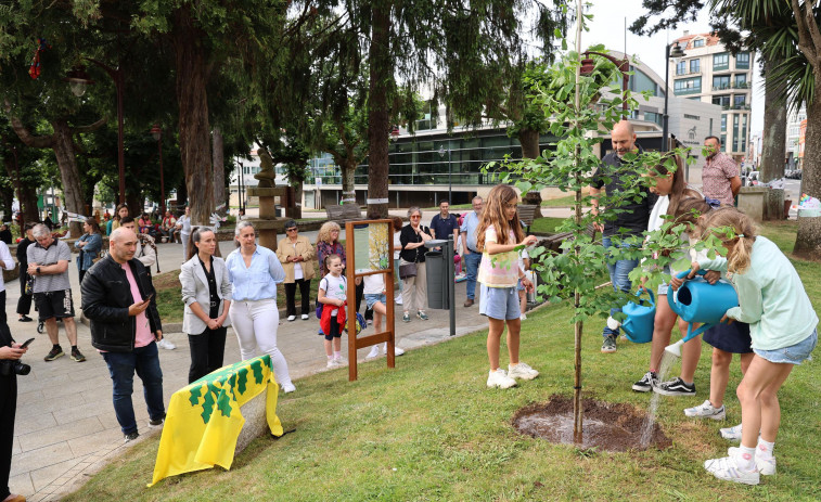 Los escolares y los árboles, los grandes protagonistas del Día del Medio Ambiente en Carballo