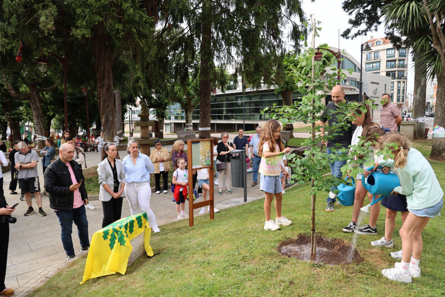 Los escolares y los árboles, los grandes protagonistas del Día del Medio Ambiente en Carballo