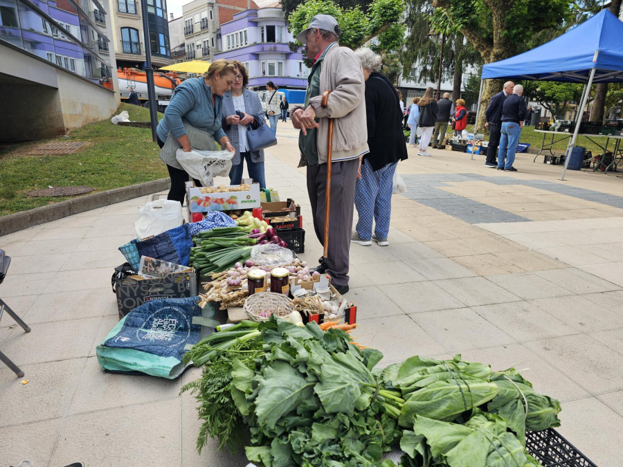 Los productos de la huerta triunfan en Carballo