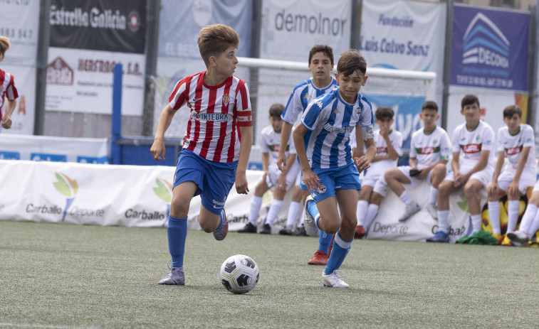 Arranca el Torneo sub-12  con los mejores clubes gallegos y del norte de España