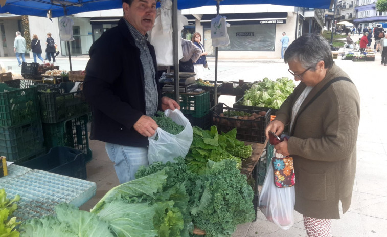 A siete euros se cotiza la bolsa de medio kilo de pimientos de Herbón en la feria de Carballo