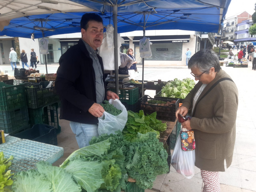 A siete euros se cotiza la bolsa de medio kilo de pimientos de Herbón en la feria de Carballo