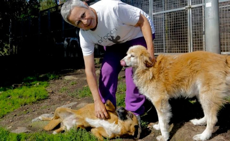 Beatriz Martín, presidenta de Gatocan: “Me gustaría pedir que dejemos de comprar animales por su raza o apariencia”