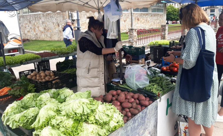 El mal tiempo reduce la oferta y aumenta el precio de las nabizas en la feria de Carballo