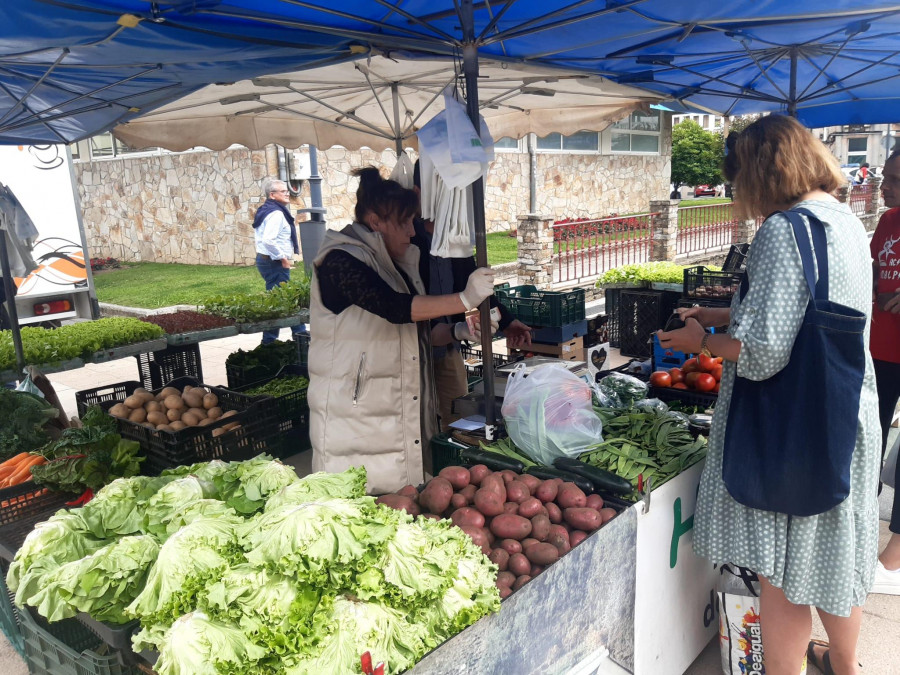 El mal tiempo reduce la oferta y aumenta el precio de las nabizas en la feria de Carballo