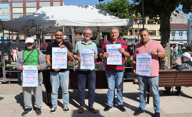 Campionato de Seleccións de Billarda e Chave, el sábado en Carballo