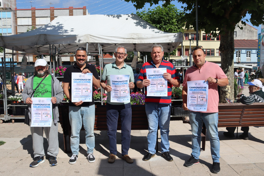 Campionato de Seleccións de Billarda e Chave, el sábado en Carballo