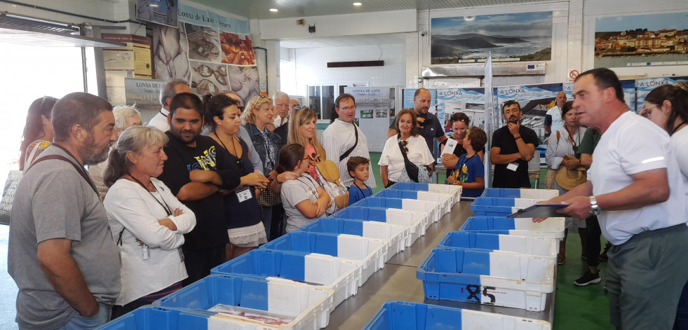 Laxe arranca agosto poniendo en valor la calidad de sus pescados y mariscos