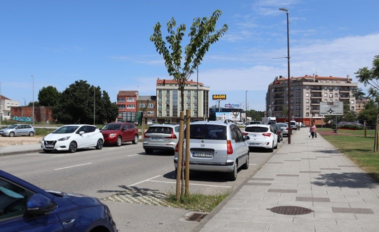 Carballo planta una treintena de árboles en varias calles para mitigar el cambio climático