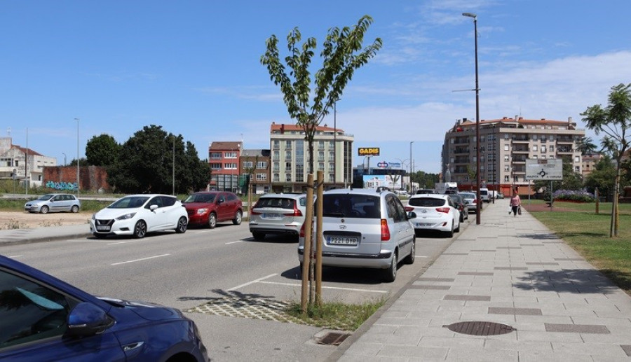 Carballo planta una treintena de árboles en varias calles para mitigar el cambio climático