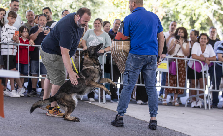 Perros y tapas, atractivos del Punto Rojo de Baio