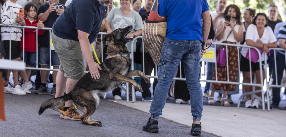 Perros y tapas, atractivos del Punto Rojo de Baio