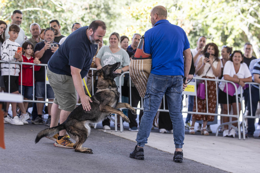 Perros y tapas, atractivos del Punto Rojo de Baio