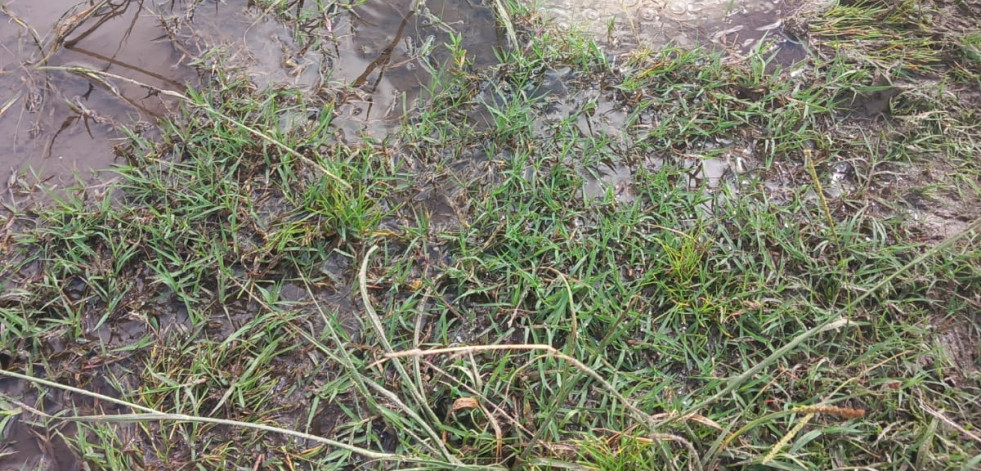 El BNG de Muxía denuncia fugas en la red de agua “cun elevado custe para a veciñanza”