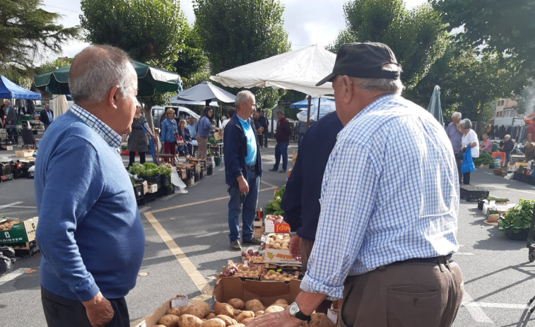 Amplia oferta de patata autóctona en la feria de Paiosaco